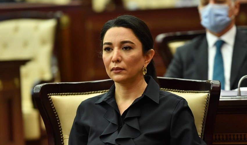 Ombudswoman: Armenia continues to pollute Azerbaijani territories with mines Ombudswoman: Armenia continues to pollute Azerbaijani territories with mines