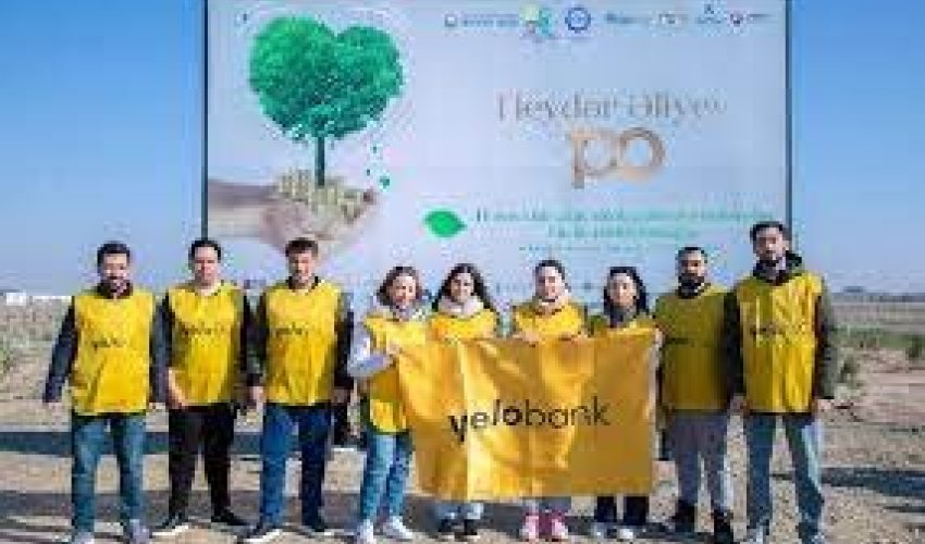 Yelo Bank принял участие в акции по посадке деревьев