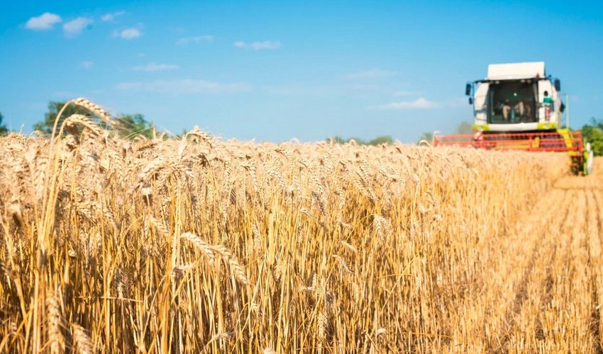 Украина выступила за расширение зерновой сделки на порты Николаева