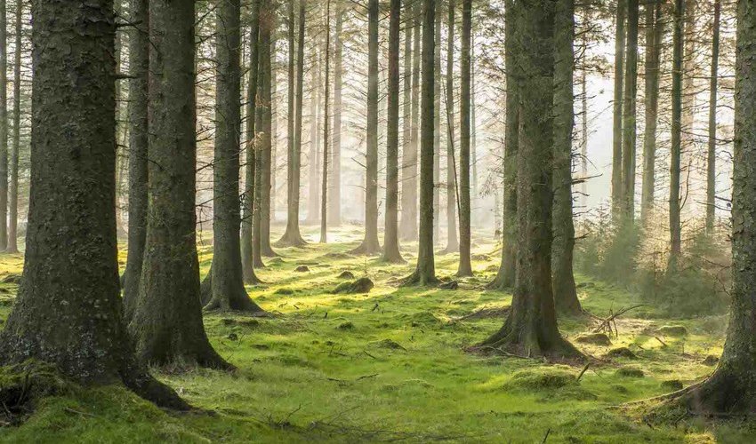 Sabah havanın temperaturu 23 dərəcəyədək artacaq Sabah havanın temperaturu 23 dərəcəyədək artacaq