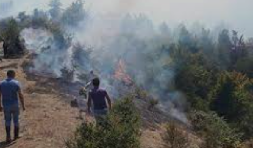 Горит Гирканский национальный парк Горит Гирканский национальный парк