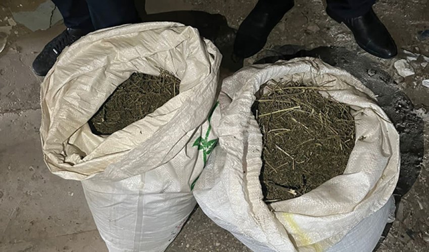 Bakı sakinindən 20 kiloqrama yaxın marixuana aşkarlandı Bakı sakinindən 20 kiloqrama yaxın marixuana aşkarlandı