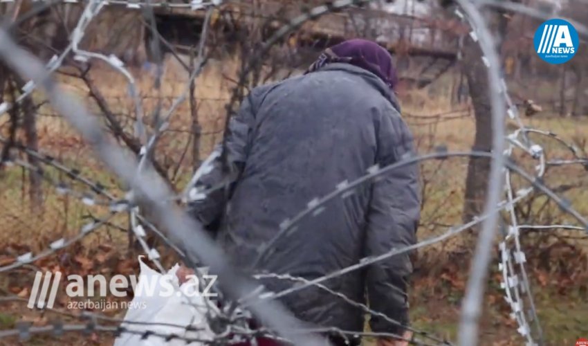 Gürcüstan və Cənubi Osetiya arasında  sərhədyanı kənddən - REPORTAJ