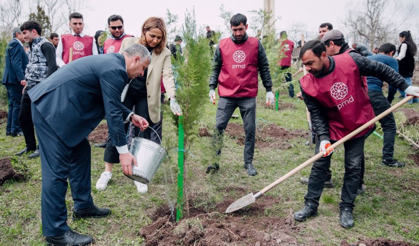 Növbəti 3 rayonda “Vətən Bağı” salındı