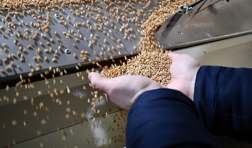 Poland to escort all transit cargoes with Ukrainian grain Poland to escort all transit cargoes with Ukrainian grain
