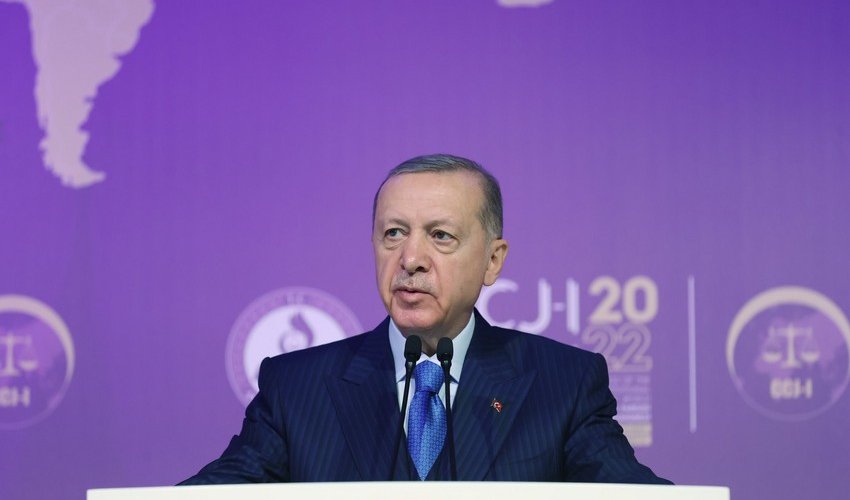 Erdogan receives 56.09% of vote abroad Erdogan receives 56.09% of vote abroad