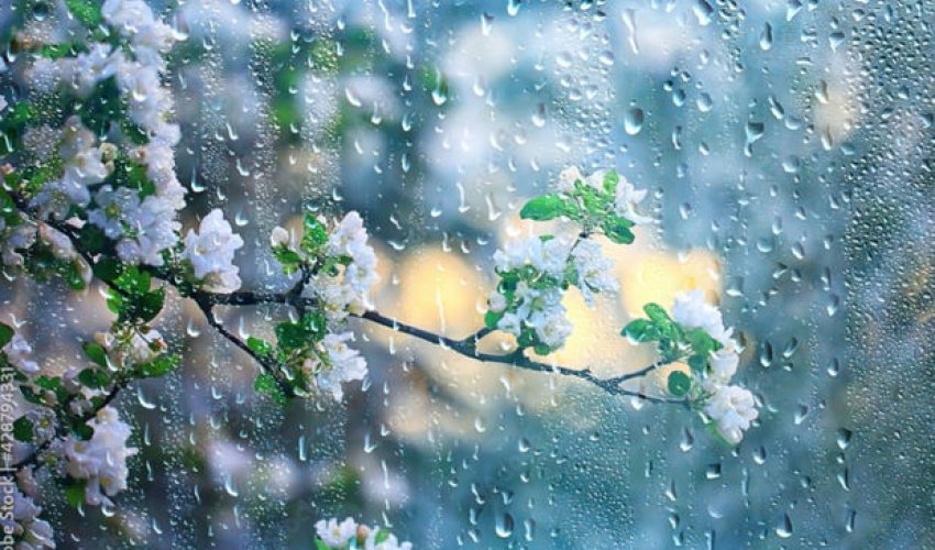 Sabahdan hava şəraiti kəskin dəyişəcək - XƏBƏRDARLIQ Sabahdan hava şəraiti kəskin dəyişəcək - XƏBƏRDARLIQ