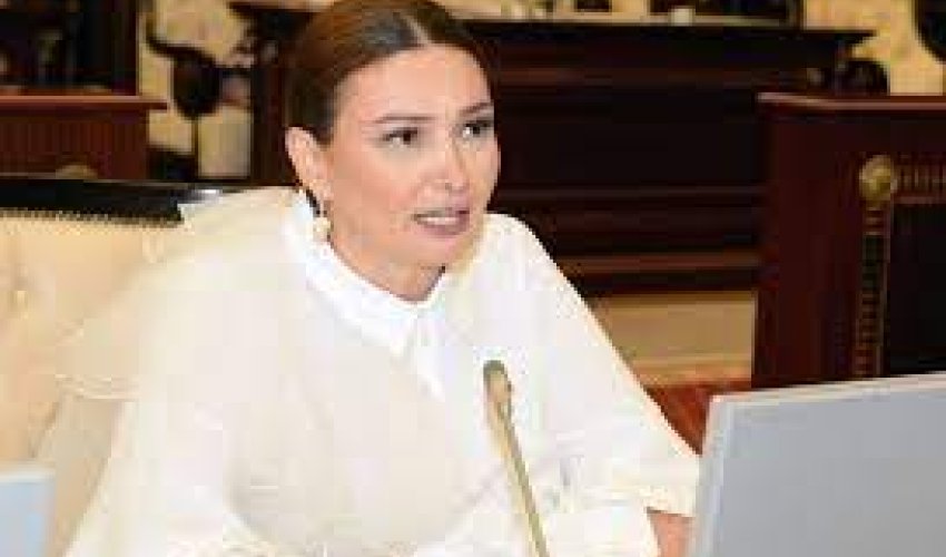 Əlilik təyinatı olmayan şəxslərə dərman təminatı verilsin - Qənirə Paşayeva Əlilik təyinatı olmayan şəxslərə dərman təminatı verilsin - Qənirə Paşayeva