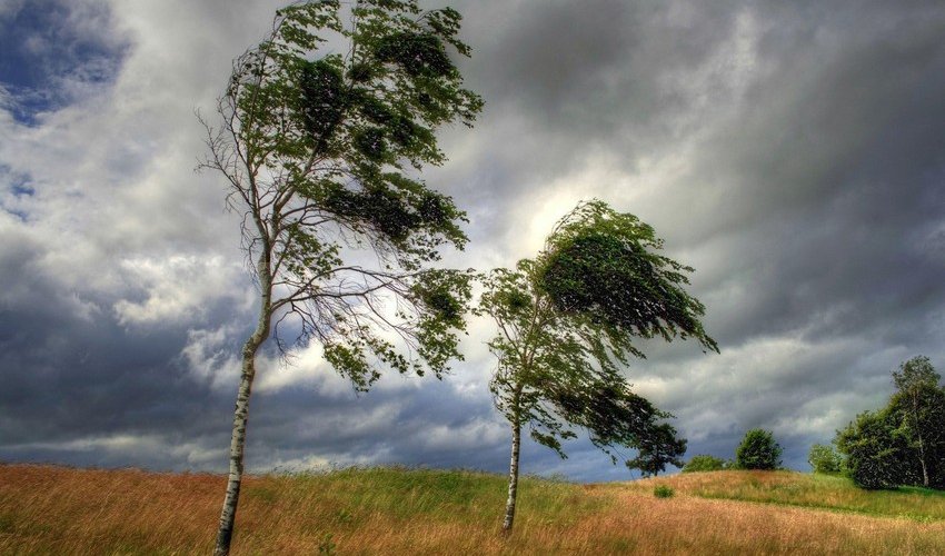 Azerbaijan weather forecast for June 20