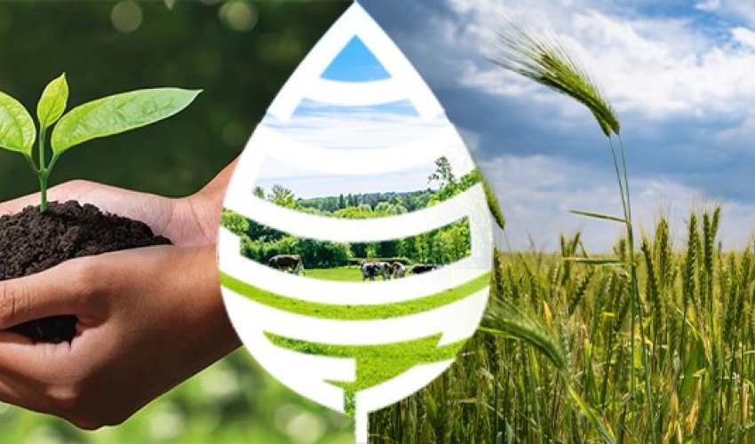 Sığorta Fondu fermerlərdən daxil olan müraciətləri açıqladı Sığorta Fondu fermerlərdən daxil olan müraciətləri açıqladı