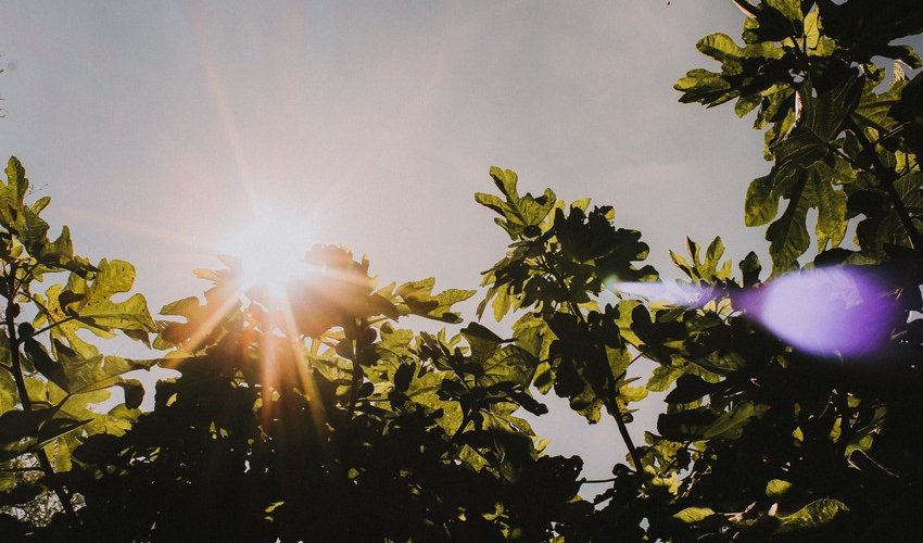 Azerbaijan weather forecast for July 12