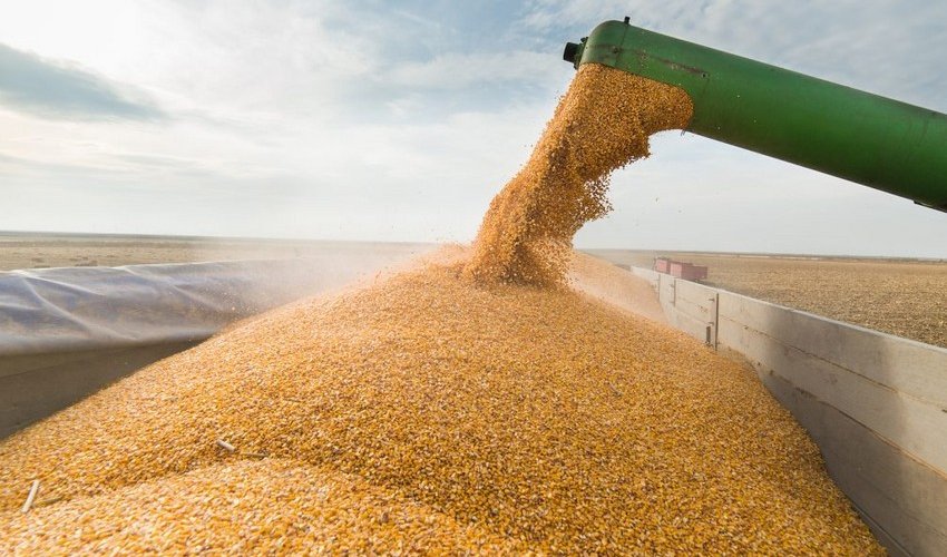 Ukraine nears deal with global insurers to cover grain ships Ukraine nears deal with global insurers to cover grain ships