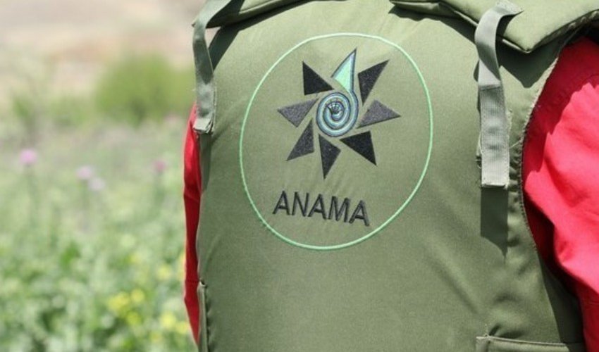 ANAMA-nın avtobusu Laçında qəzaya uğrayıb, 3 əməkdaş xəsarət alıb ANAMA-nın avtobusu Laçında qəzaya uğrayıb, 3 əməkdaş xəsarət alıb