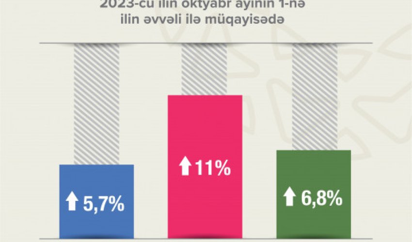 В Азербайджане число активных плательщиков НДС увеличилось на 11%