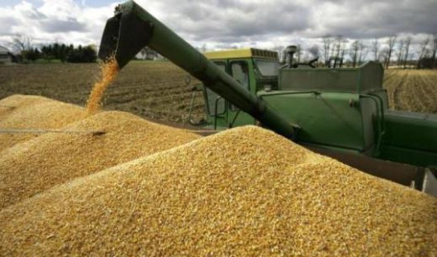 Bu il pivot suvarma sistemləri ilə 100 min ton ərzaqlıq buğda yetişdirilib- NAZİR