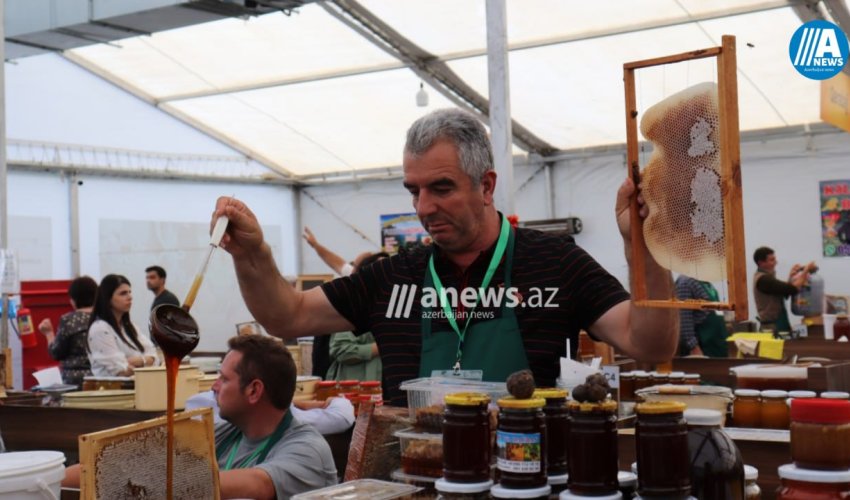 Bal yarımarkasında nə qədər satış olub? - Açıqlama
