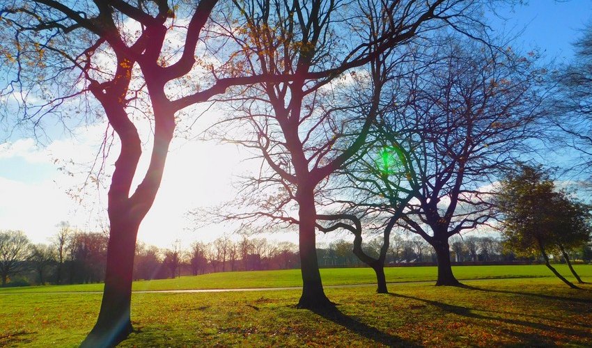 Azerbaijan weather forecast for November 1