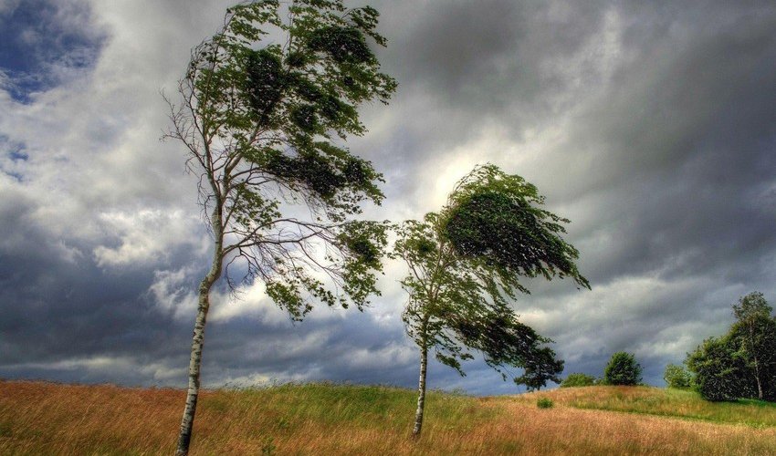 Azerbaijan weather forecast for November 7