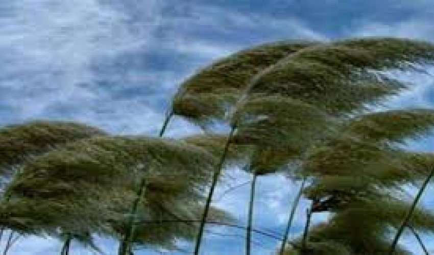 FHN küləkli hava şəraiti ilə bağlı əhaliyə müraciət edib FHN küləkli hava şəraiti ilə bağlı əhaliyə müraciət edib