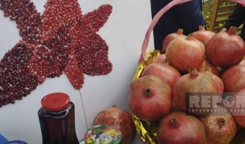 В Гёйчае проходит Фестиваль граната В Гёйчае проходит Фестиваль граната