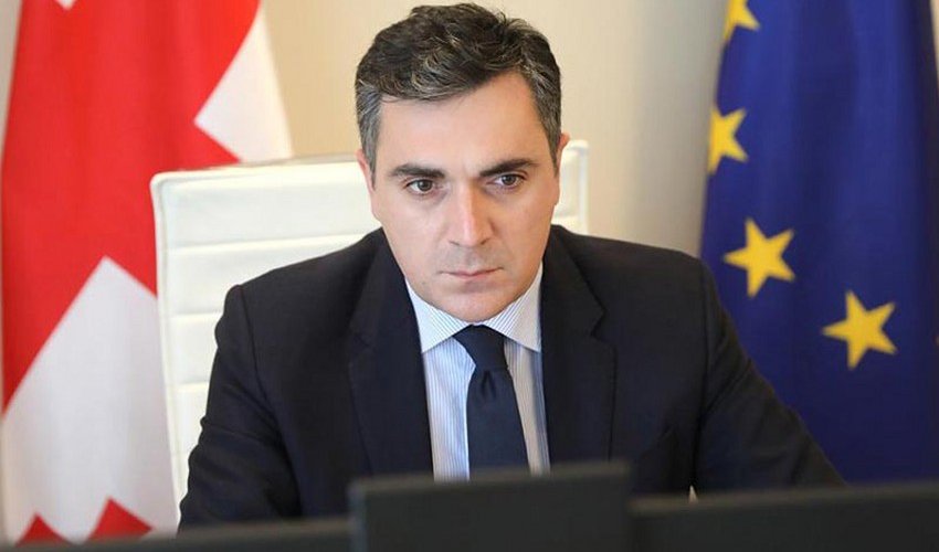 Georgian FM: Authorities ready to ensure free elections in 2024 Georgian FM: Authorities ready to ensure free elections in 2024