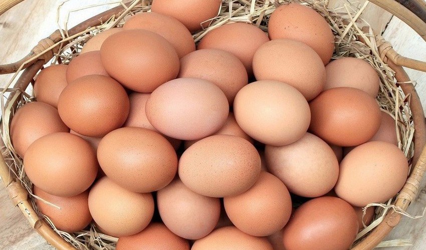 Russia imports about 20 million eggs to from Azerbaijan, Türkiye Russia imports about 20 million eggs to from Azerbaijan, Türkiye