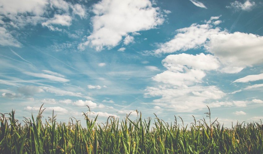 Azerbaijan weather forecast for June 4