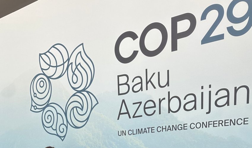 COP29 çərçivəsində ölkəyə gətirilən mallar vergidən azad edilib