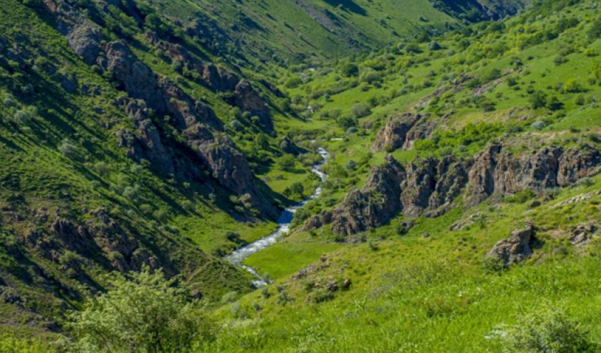 Baş nazirdən Zəngəzur Milli Parkı ilə bağlı qərar Baş nazirdən Zəngəzur Milli Parkı ilə bağlı qərar