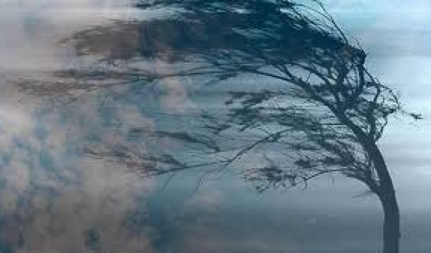 Küləkli hava şəraiti ilə bağlı sarı xəbərdarlıq elan olunub Küləkli hava şəraiti ilə bağlı sarı xəbərdarlıq elan olunub