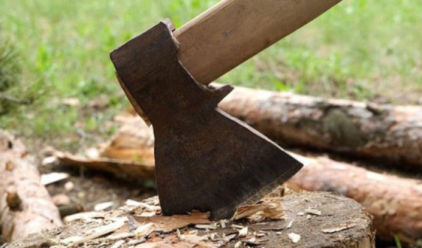 4 ildə ekoloji hüquqpozmalar ilə bağlı dövlət büdcəsinə dörd milyondan çox vəsait ödənilib