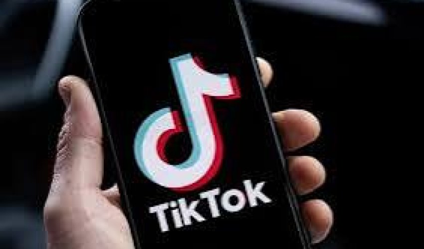 Bu ölkədə də TikTok qadağan edilib