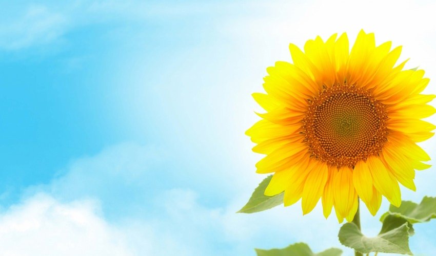 Azerbaijan weather forecast for July 4 Azerbaijan weather forecast for July 4