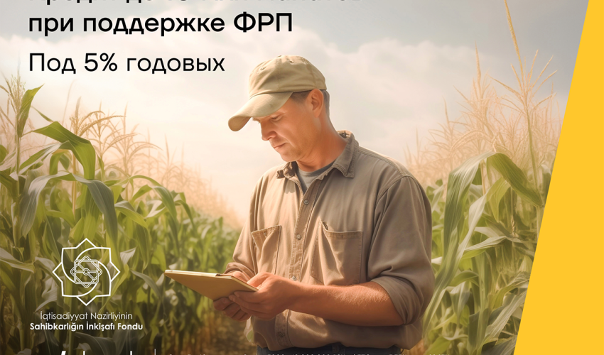 Развивайте свой бизнес с помощью кредита под 5% годовых от Yelo Bank
