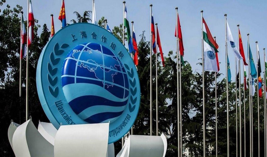 Azerbaijan seeks observer status in Shanghai Cooperation Organization Azerbaijan seeks observer status in Shanghai Cooperation Organization