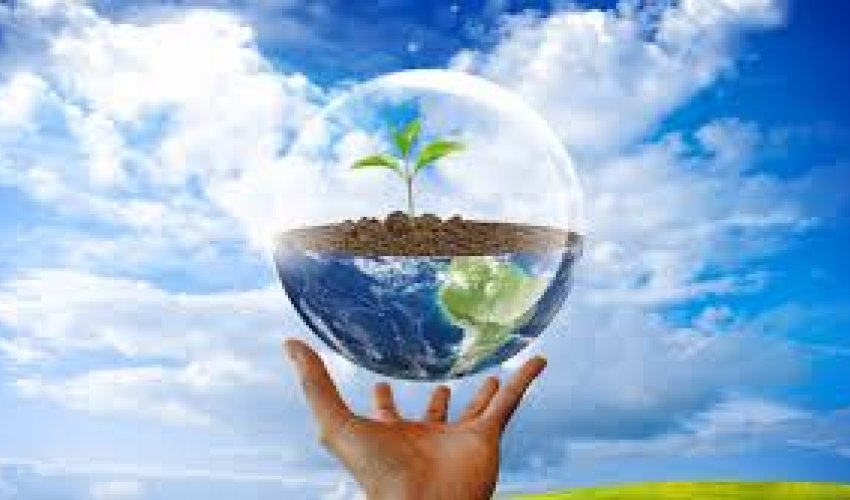 Azərbaycan təbiətin mühafizəsinə ayrılan xərcləri artırıb