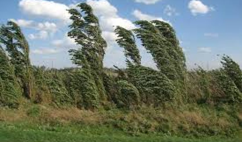 Küləkli hava şəraiti ilə bağlı sarı xəbərdarlıq elan edilib Küləkli hava şəraiti ilə bağlı sarı xəbərdarlıq elan edilib