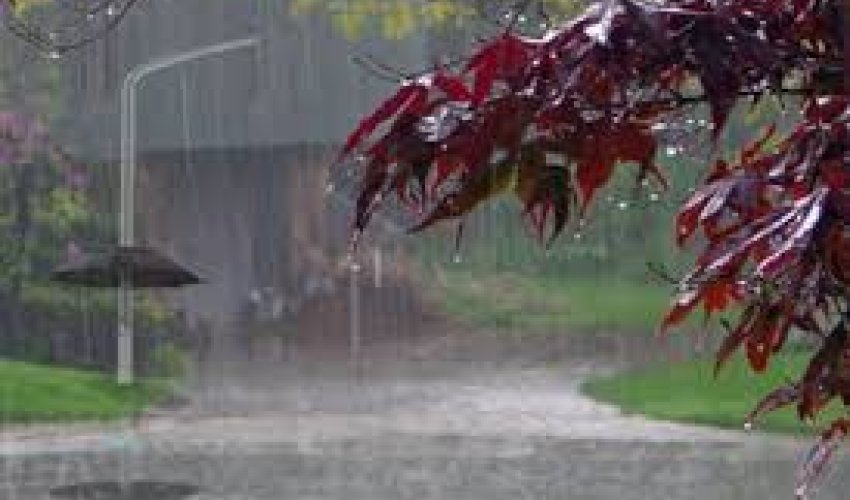 Bölgələrdə yağıntılı hava şəraiti davam edir – FAKTİKİ HAVA Bölgələrdə yağıntılı hava şəraiti davam edir – FAKTİKİ HAVA