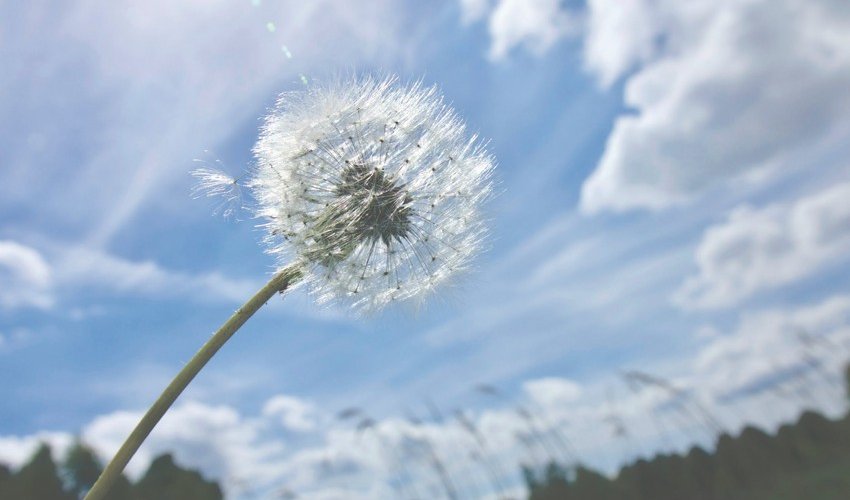 Azerbaijan weather forecast for August 1