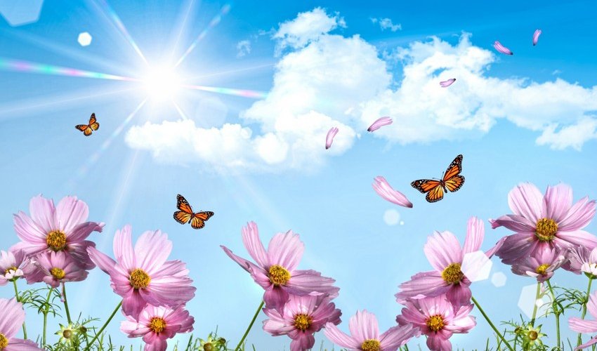 Azerbaijan weather forecast for August 23