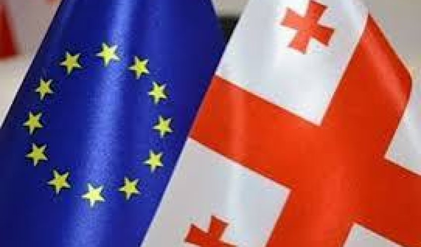 Gürcüstanın Aİ-yə üzv olması prosesi dayandırılıb Gürcüstanın Aİ-yə üzv olması prosesi dayandırılıb