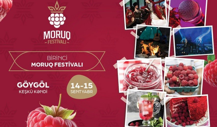 Azərbaycanda ilk dəfə “Moruq Festivalı” keçiriləcək Azərbaycanda ilk dəfə “Moruq Festivalı” keçiriləcək