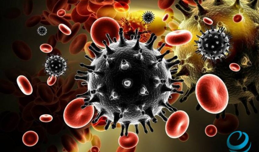 Yeni virus riski var - ÜST Yeni virus riski var - ÜST