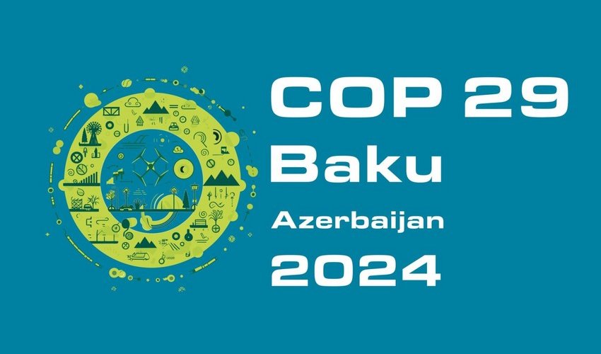 Expert: 'I expect progress on new climate finance targets from COP29'