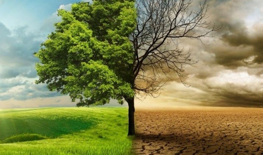Political scientist: Western countries undermine climate efforts by pursuing hypocritical policies Political scientist: Western countries undermine climate efforts by pursuing hypocritical policies