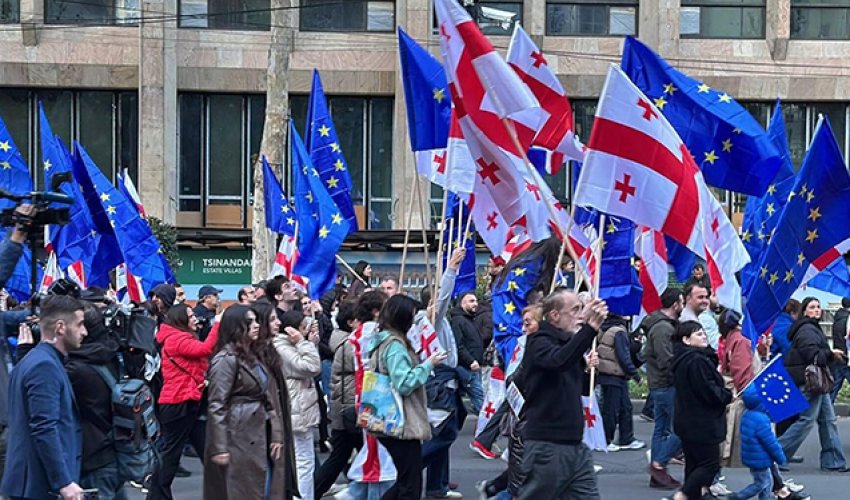 Президент Грузии присоединилась к предвыборному митингу оппозиции