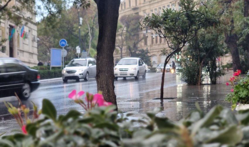 Yağış günün ikinci yarısı tədricən kəsiləcək Yağış günün ikinci yarısı tədricən kəsiləcək