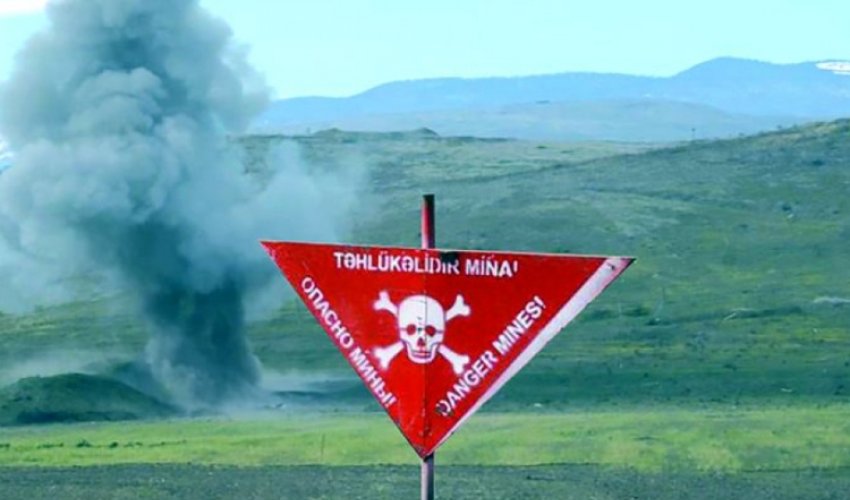 Goranboyda heyvanlar minaya düşüb Goranboyda heyvanlar minaya düşüb