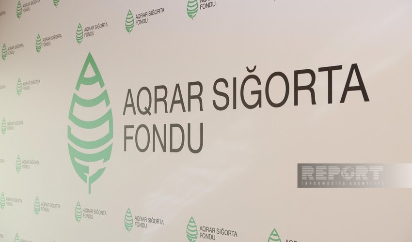 Aqrar Sığorta Fondu 10 aylıq nəticələri açıqlayıb