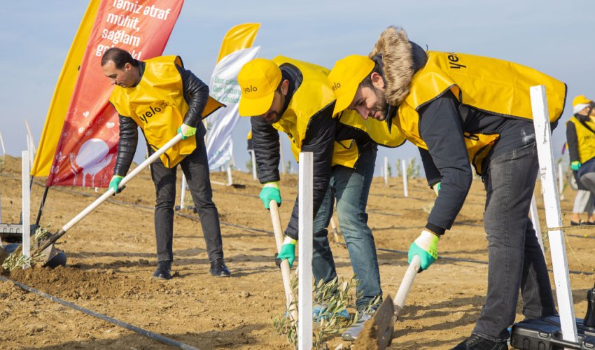 Yelo Bank empowers nature: a tree for each customer